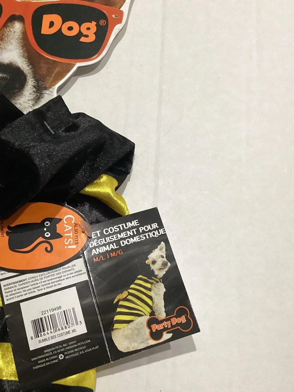 party dog cute bee